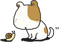 犬